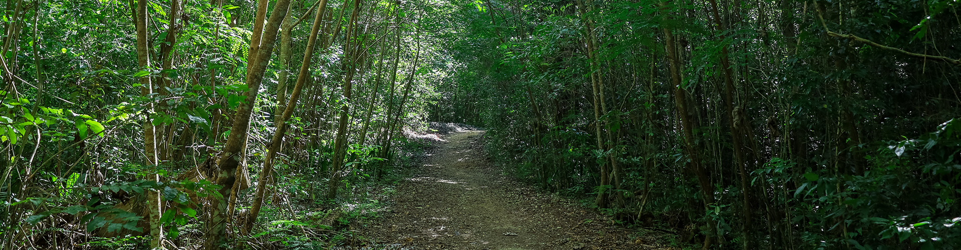 Cabezas de San Juan Nature Reserve, Fajardo
