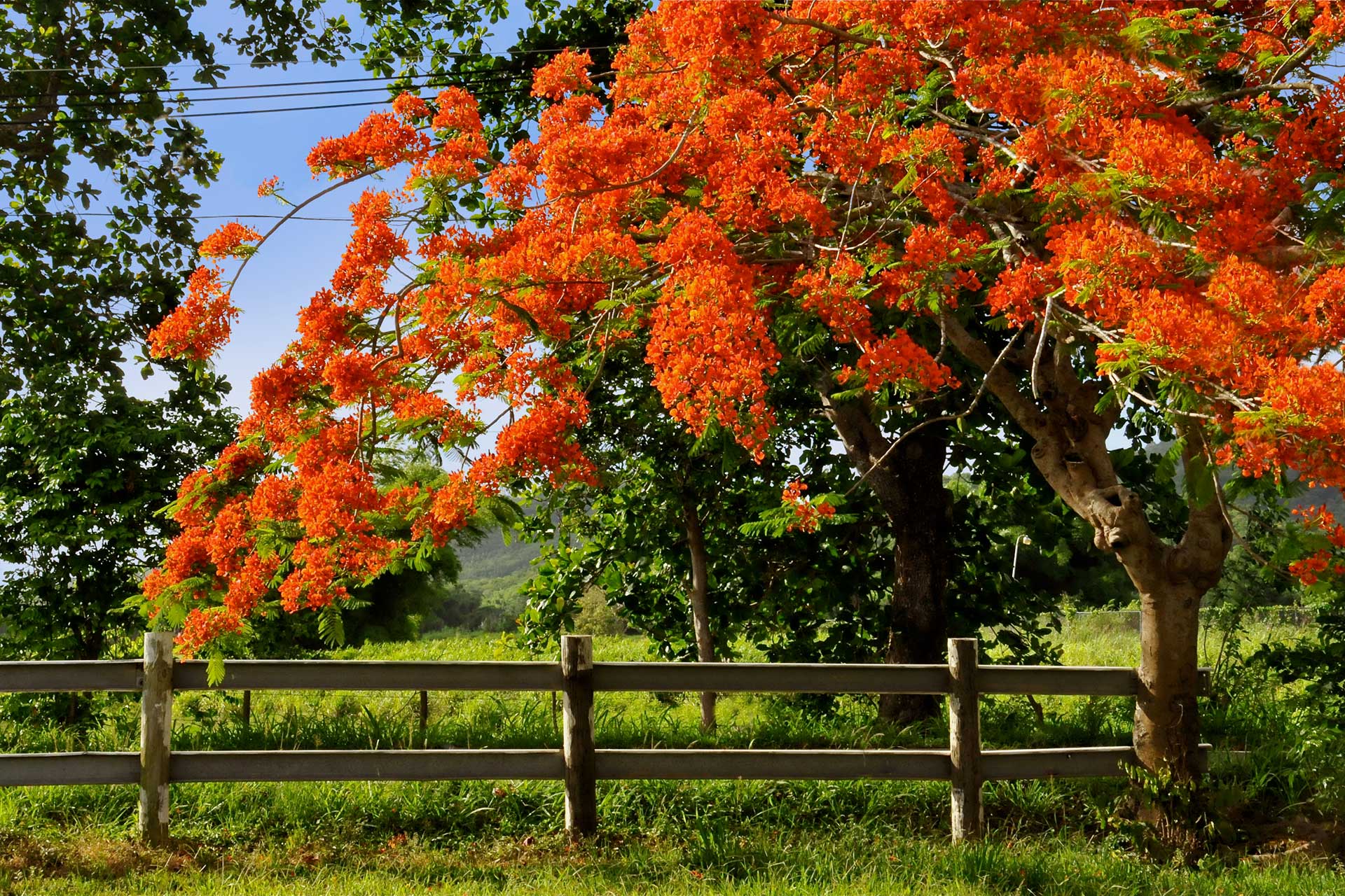 Fajardo Road