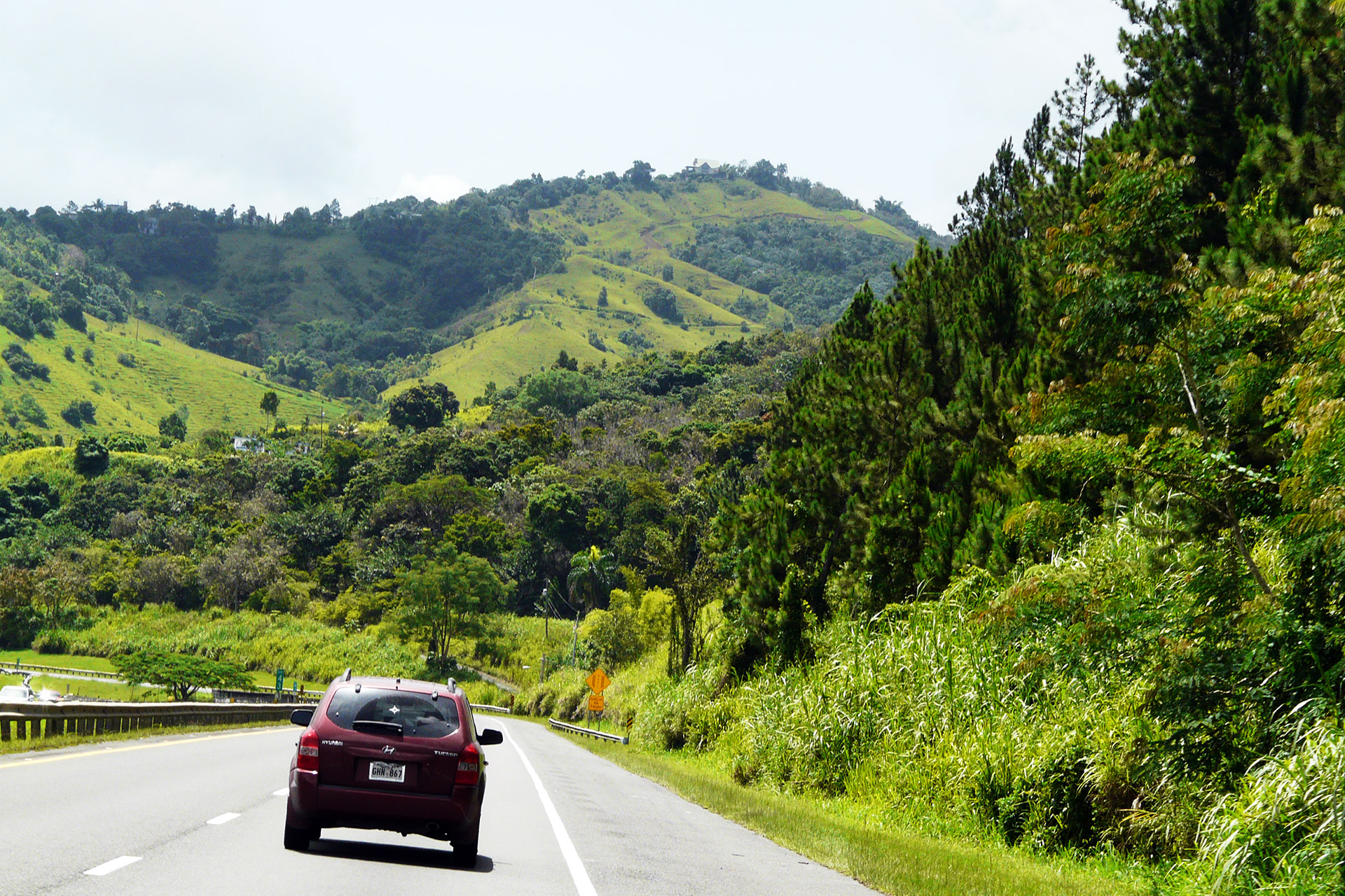 Road in Puerto Rico