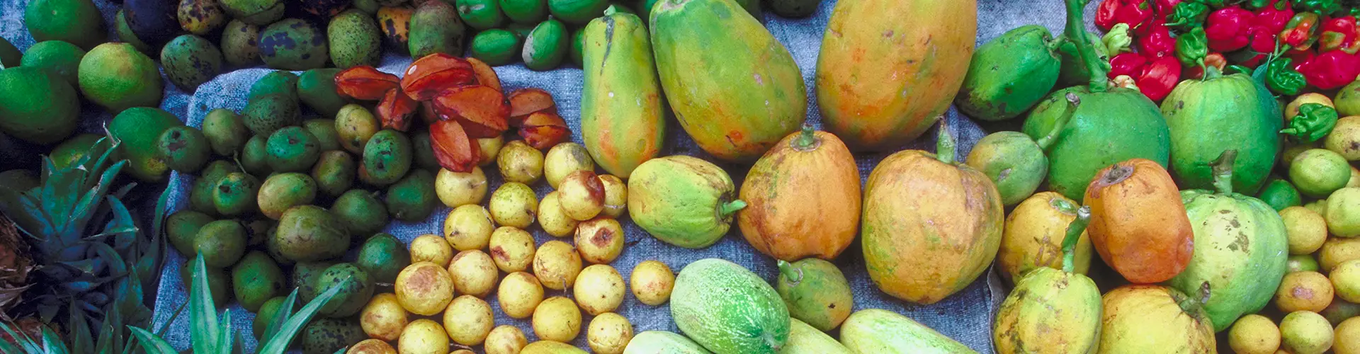 Fruits